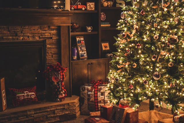 Eco-Friendly Christmas: Can We Replant the Christmas Tree?