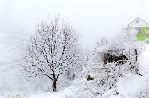 budget cold places to see in May.
