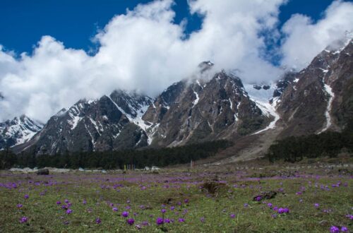 Yumthang Valley, Sikkim